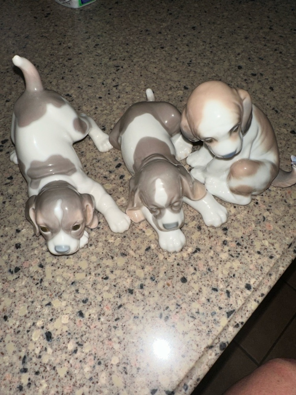Llardo puppy set!